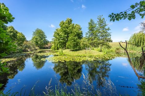 Photo of property in 1 Kristin Place, Manakau, 5573