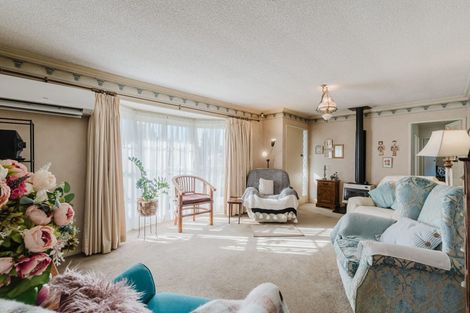 Photo of property in 171 Clarkin Road, Fairfield, Hamilton, 3214