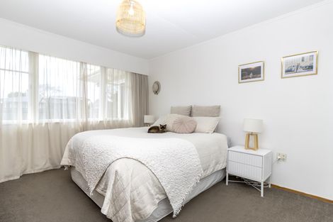 Photo of property in 151 Limbrick Street, Terrace End, Palmerston North, 4410