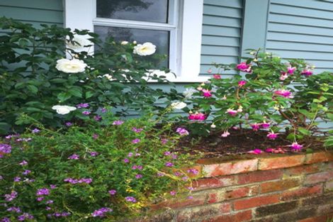 Photo of property in 197 Brady Street, Te Awamutu, 3800