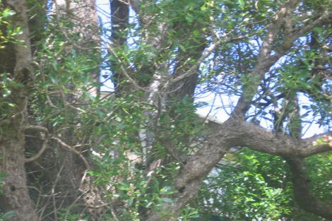 Photo of property in 31 Fairview Crescent, Kelburn, Wellington, 6012