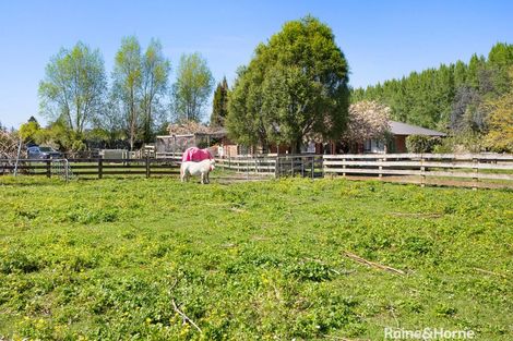 Photo of property in 181c Willow Park Drive, Opaki, Masterton, 5871