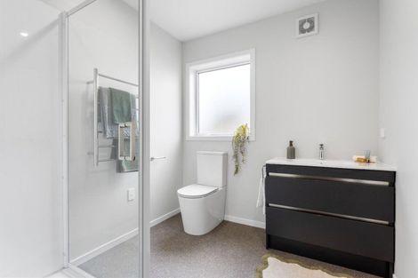 Photo of property in 41a Maxwell Avenue, Durie Hill, Wanganui, 4500