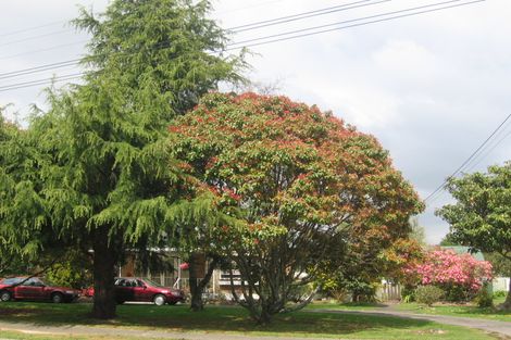Photo of property in 4 Robinson Avenue, Holdens Bay, Rotorua, 3010