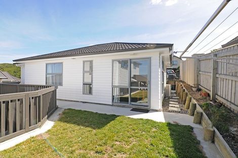 Photo of property in 109 Ashton Fitchett Drive, Brooklyn, Wellington, 6021