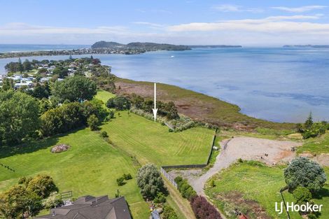 Photo of property in 61 Athenree Road, Athenree, 3177