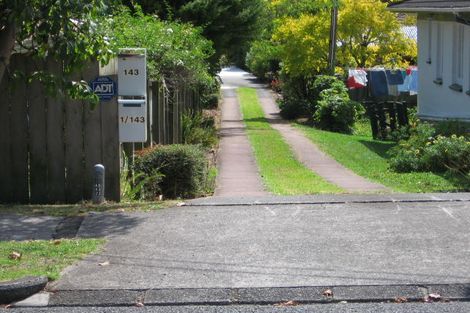 Photo of property in 143 Hutchinson Avenue, New Lynn, Auckland, 0600