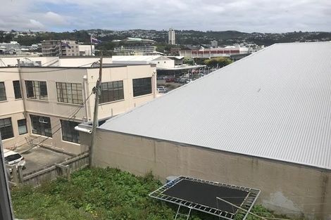 Photo of property in 19 Hania Street, Mount Victoria, Wellington, 6011