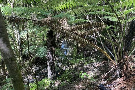 Photo of property in 1864 Takaka-collingwood Highway, Milnthorpe, Collingwood, 7182