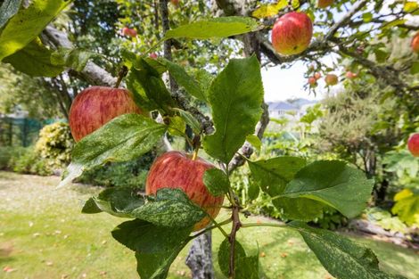 Photo of property in 127 North Street, Ashhurst, 4810