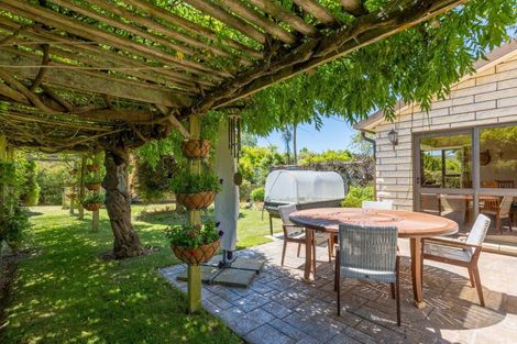 Photo of property in 20 Taranaki Drive, Woodend, 7610