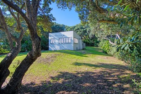 Photo of property in 43 North Piha Road, Piha, New Lynn, 0772