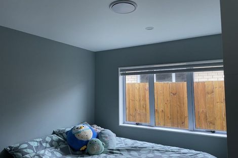 Photo of property in 14 Rainsford Road, Pukekohe, 2120