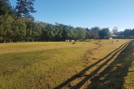 Photo of property in 249 Plummers Point Road, Whakamarama, Tauranga, 3172