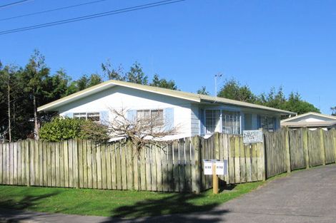 Photo of property in 12a Harrington Road, Henderson, Auckland, 0610