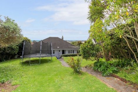 Photo of property in 219 Powderham Street, New Plymouth, 4310
