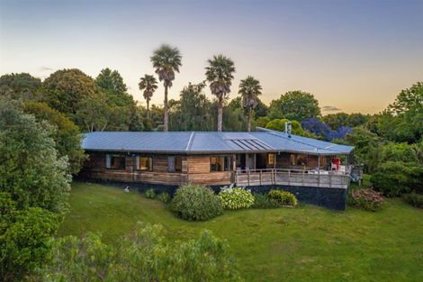 Photo of property in 115 Shelly Beach Road, Shelly Beach, Helensville, 0874