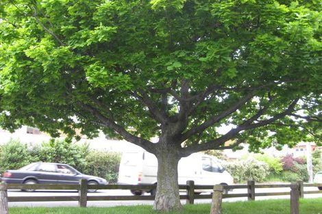 Photo of property in 104 Webb Street, Te Aro, Wellington, 6011