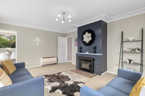 Photo of property in 23 Kinvig Street, Andersons Bay, Dunedin, 9013