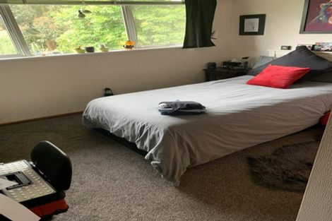 Photo of property in 19 Moloney Terrace, Pukekohe, 2120