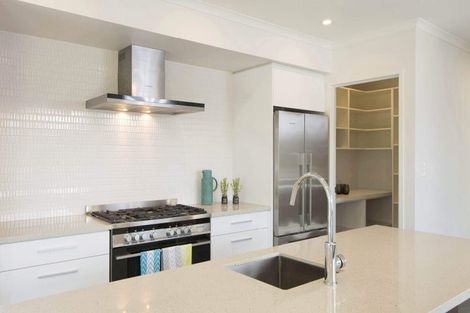 Photo of property in 250 Busby Road, Tahawai, 3170