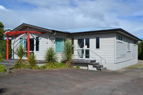 Photo of property in 107 Tamamutu Street, Taupo, 3330