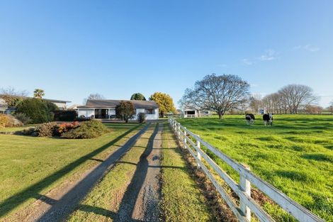 Photo of property in 4795 State Highway 29, Matamata, 3473