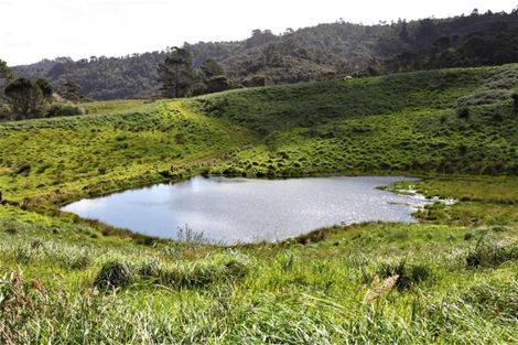 Photo of property in 248 Kanohi Road, Kaukapakapa, 0873