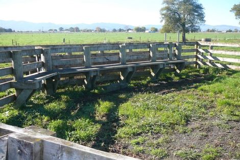 Photo of property in 560 Hauraki Road, Turua, 3574