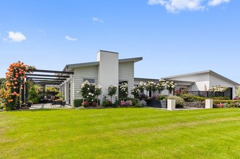 Photo of property in 38 South Street, Kensington, Timaru, 7910