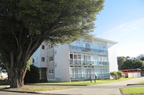 Photo of property in 24 Carnell Street, Napier South, Napier, 4110