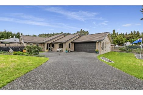 Photo of property in 4 Arthur Grove, Bethlehem, Tauranga, 3110