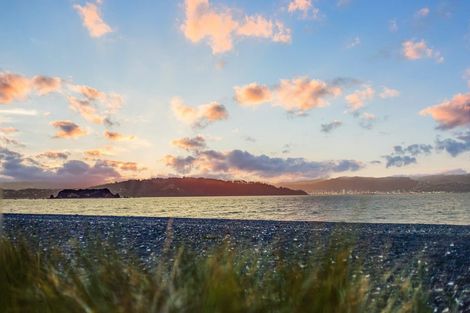 Photo of property in 105 Marine Parade, Eastbourne, Lower Hutt, 5013