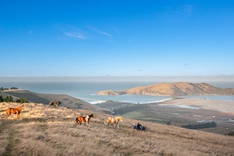 Photo of property in 378 Heyward Point Road, Heyward Point, Port Chalmers, 9081