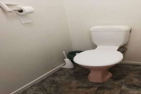 Photo of property in 43 Sunnyside Road, Sunnyvale, Auckland, 0612