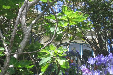 Photo of property in 37 Fairview Crescent, Kelburn, Wellington, 6012