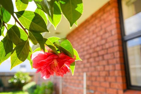 Photo of property in 74 Albert Street, Palmerston North, 4414