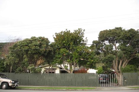 Photo of property in 44 Hinemoa Street, Paraparaumu, 5032