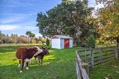 Photo of property in 79 Oxford Street, Lansdowne, Masterton, 5810