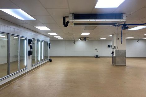 Photo of property in The Lofts & The Hub, 185 Victoria Street, Te Aro, Wellington, 6011