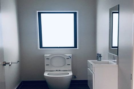 Photo of property in 17 Keyes Street, Chartwell, Hamilton, 3210