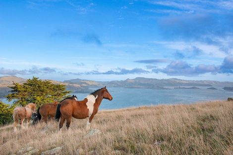 Photo of property in 378 Heyward Point Road, Heyward Point, Port Chalmers, 9081
