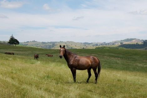 Photo of property in 105 Taotaoroa Road, Karapiro, Matamata, 3472