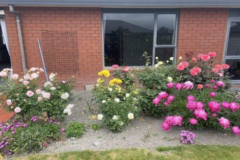 Photo of property in Maple Lane, Tinwald, Ashburton, 7700