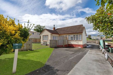 Photo of property in 12 Thrush Street, Taihape, 4720