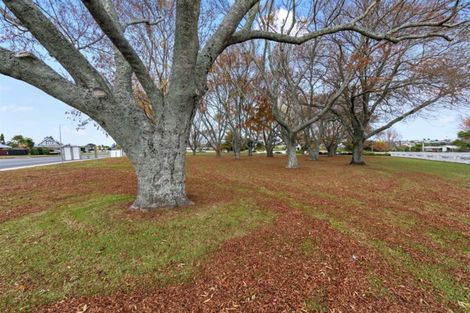 Photo of property in 74 Ngatai Road, Otumoetai, Tauranga, 3110
