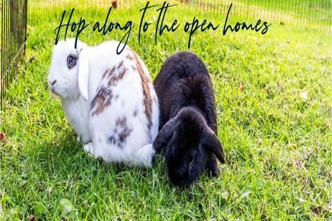 Photo of property in 32 Mcdowell Crescent, Hillcrest, Auckland, 0627