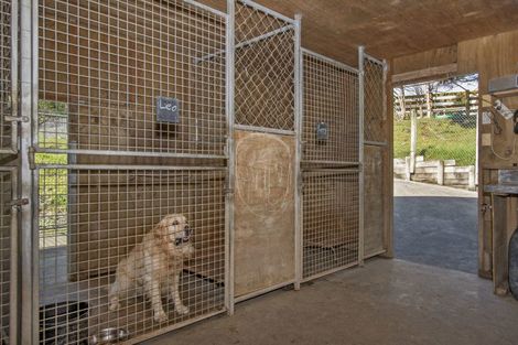 Photo of property in 125 Baldrock Road, Brynderwyn, Maungaturoto, 0587