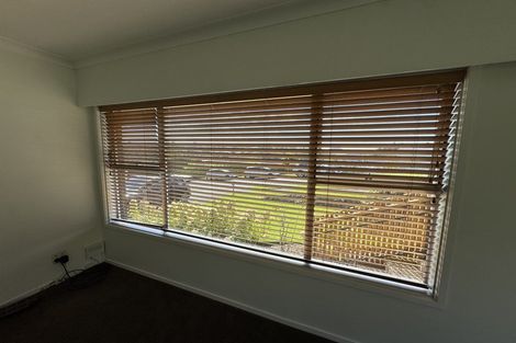 Photo of property in 114a Laurence Street North, Gate Pa, Tauranga, 3112