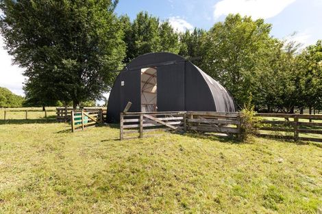 Photo of property in 39 Skeet Road, Cambridge, 3495